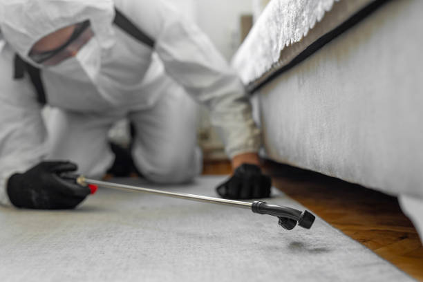 Professional Termite Control technician working in Waverly, OH