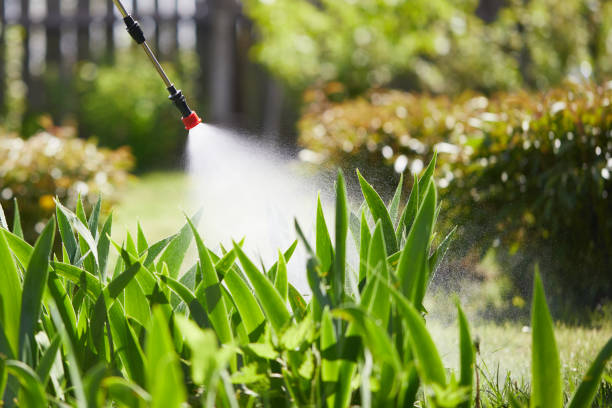 24/7 Emergency Termite Control experts in Waverly, OH