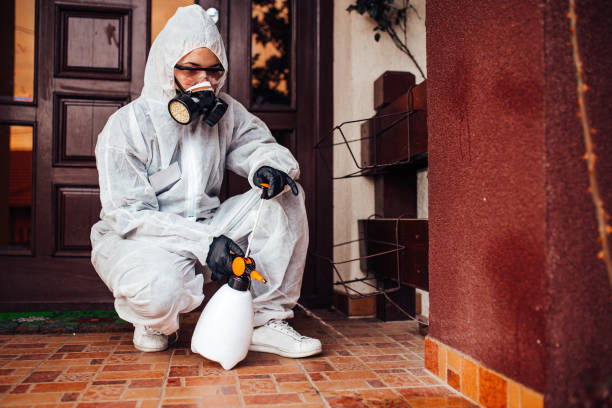Reliable Termite Control contractor in Waverly, OH by Nex Pest Control