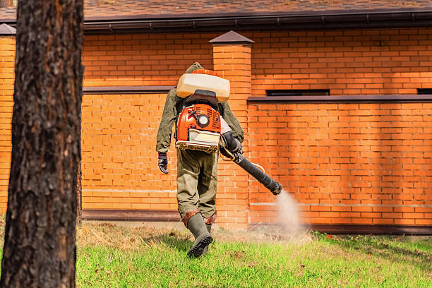 Top rated local Termite Control specialists in Waverly, OH
